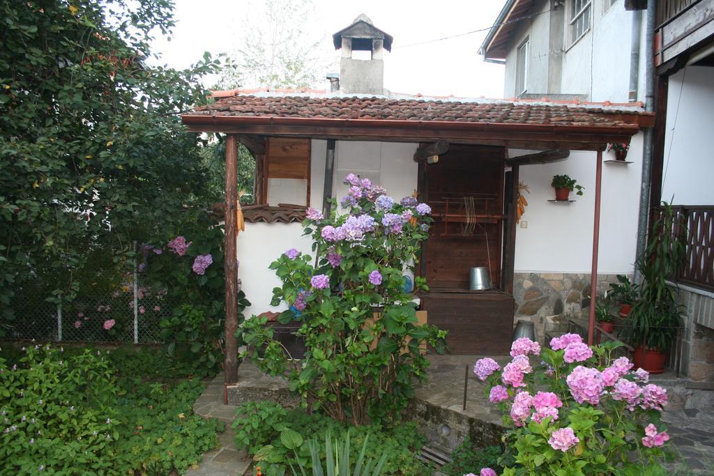 Hotel Todorova House Zlatograd Esterno foto